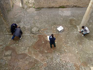 conservation image