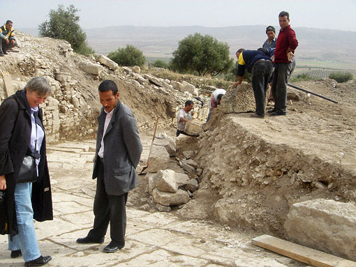 Conservation image