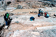 Conservation image