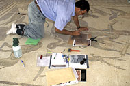 Conservation image