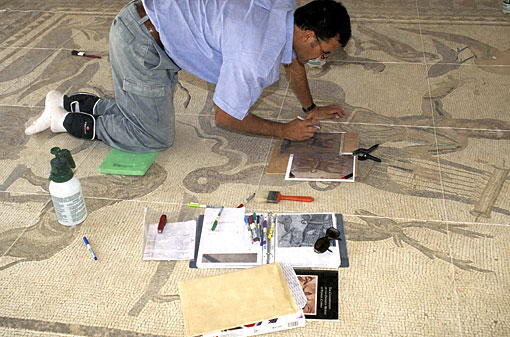 Conservation image