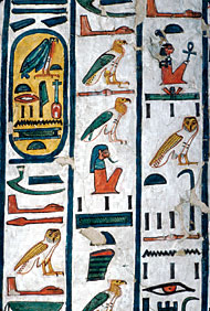 Conservation Image