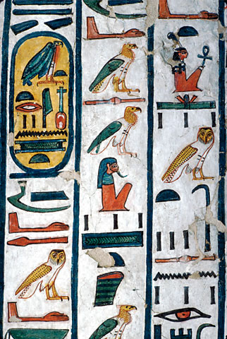 Conservation Image