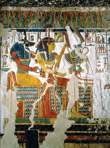 Conservation Image