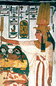 Conservation Image