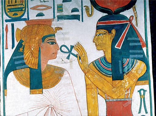 Conservation Image