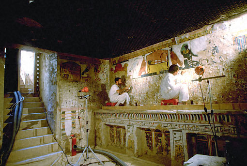 Conservation Image