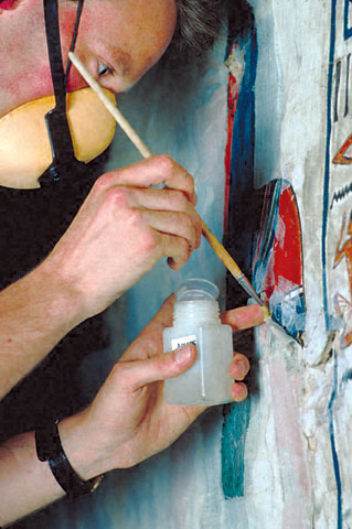 Conservation Image