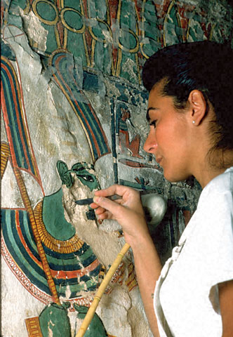 Conservation Image