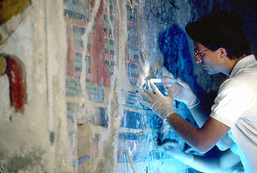 Conservation Image
