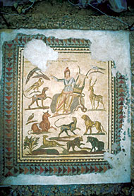 Conservation image