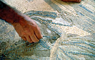 Conservation image