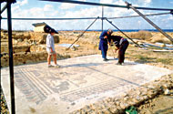 Conservation image