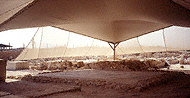 Conservation image