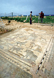 Conservation image