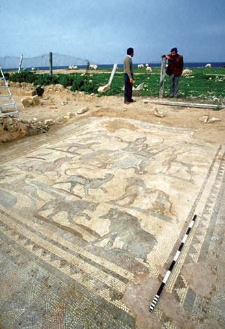 Conservation image