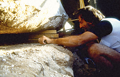Conservation image