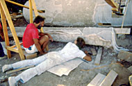 Conservation image