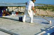 Conservation image