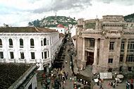 Conservation image