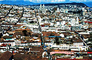 Conservation image
