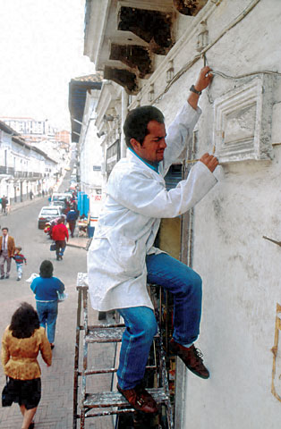 Conservation image