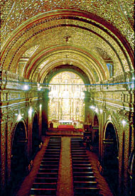 Conservation image