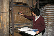 Conservation image