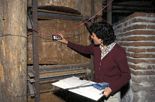 Conservation image