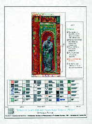 Conservation image