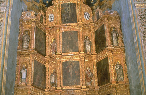 Conservation image