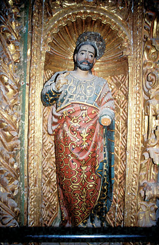 Conservation image
