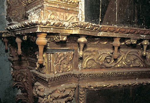 Conservation image