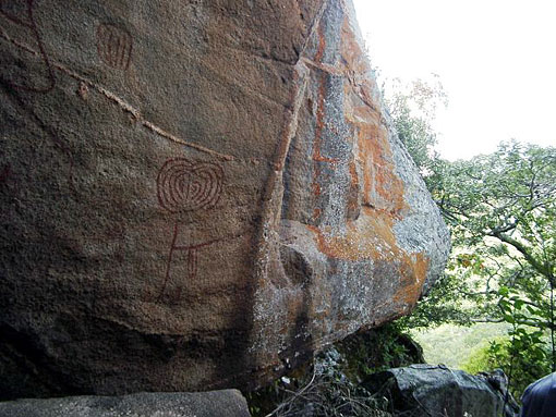 conservation image