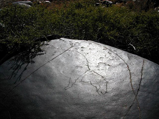 conservation image