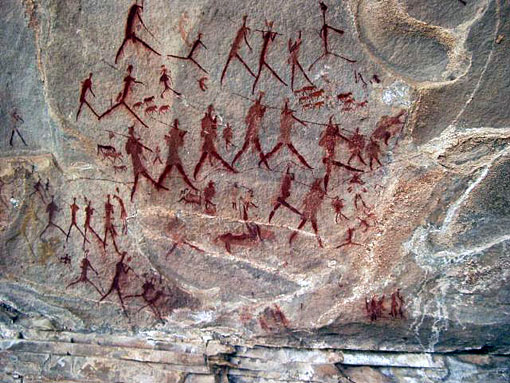 conservation image