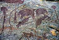 conservation image