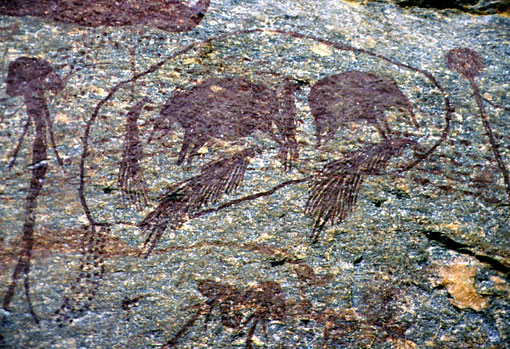 conservation image