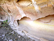 conservation image