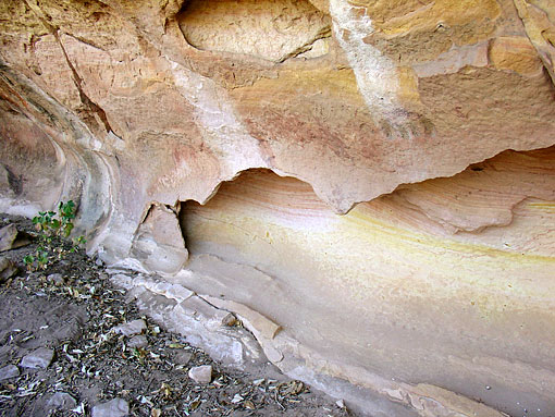 conservation image