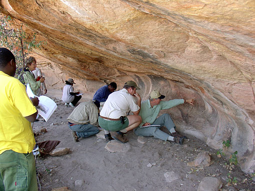 conservation image