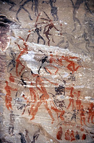 conservation image
