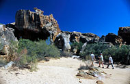 conservation image