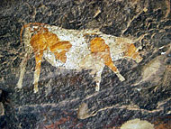 conservation image