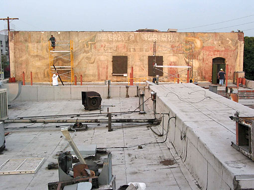 Conservation image