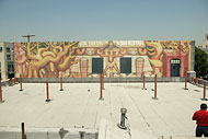 Conservation image