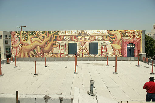Conservation image