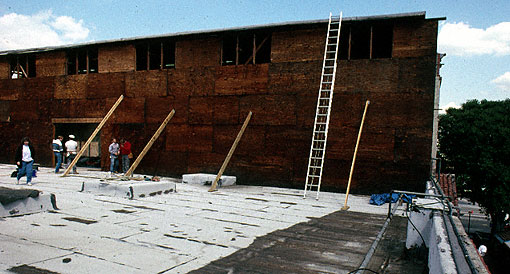 Conservation image