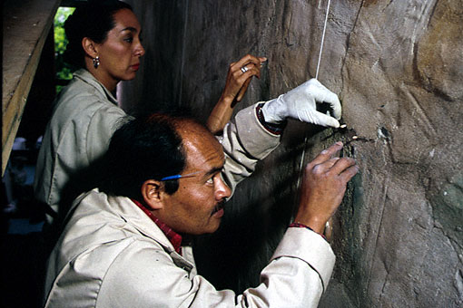 Conservation image