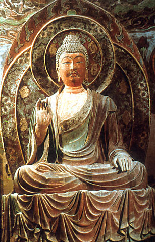 Conservation Image